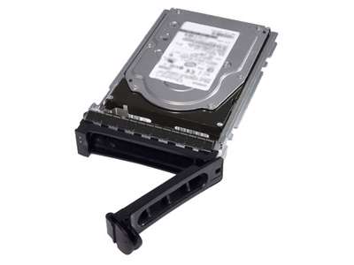 DELL 1TB NL-SAS harddisk 7200 rpm 3.5"