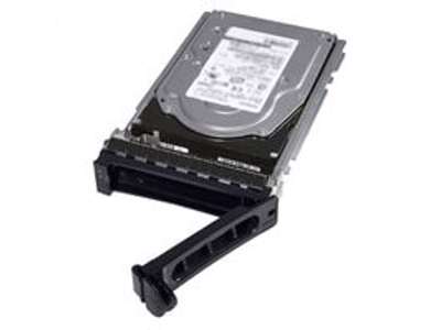 DELL 400-AURS harddisk 1 TB 7200 rpm 3.5" Serial ATA III