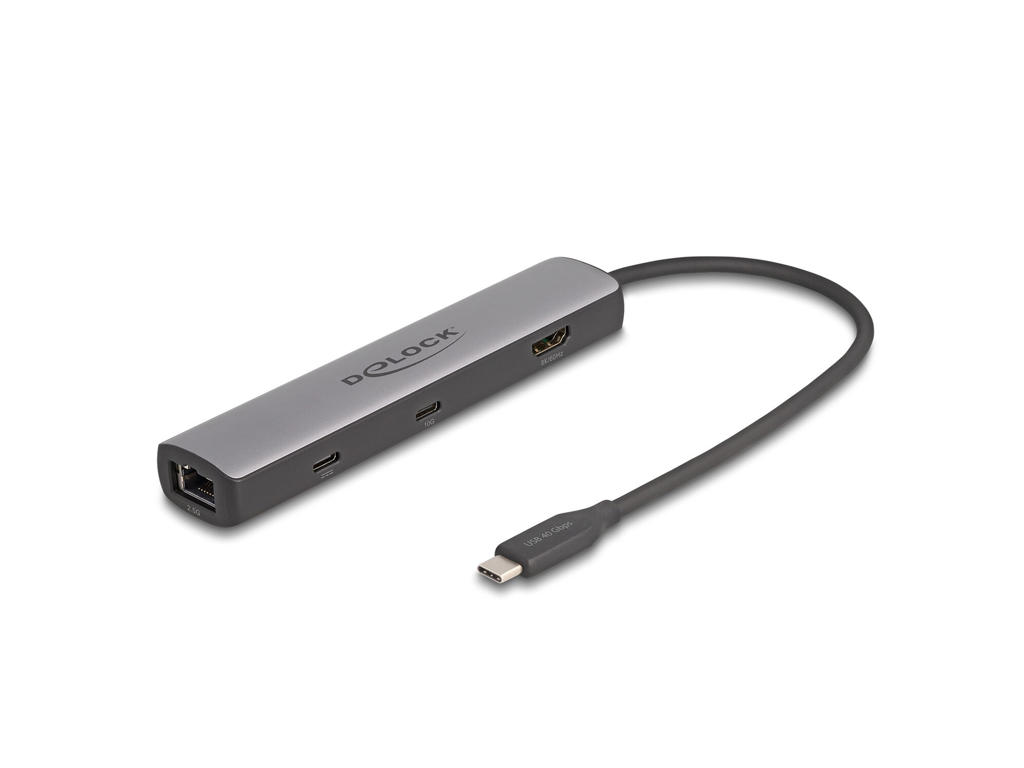 DeLOCK 87865 dockingstation Ledningsført USB 3.2 Gen 2 (3.1 Gen 2) Type-C Sort, Grå