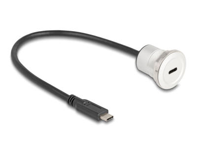 DeLOCK 88183 USB-kabel 0,3 m USB C Sort, Sølv