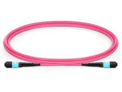 Microconnect FIB993001 InfiniBand og fiberoptisk kabel 1 m MTP Violet