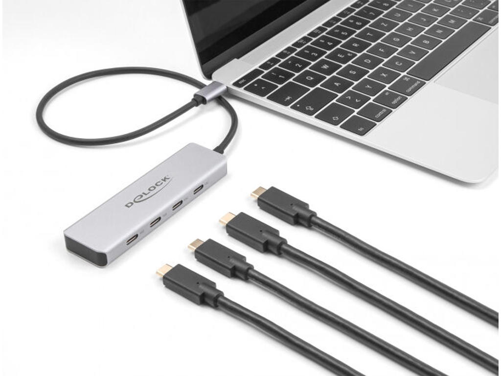 DeLOCK 64231 interface hub USB Type-C 10000 Mbit/s Grå