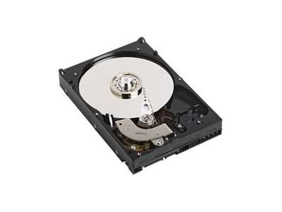 DELL 500GB 3.5" SATA harddisk 7200 rpm 3.5"